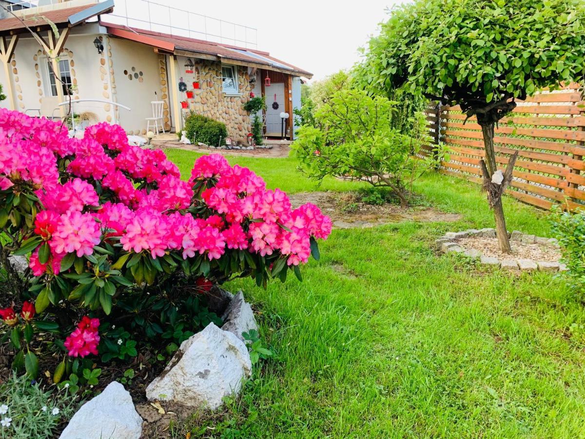 Apartament Rodzinny Z Ogrodem 치에신 외부 사진