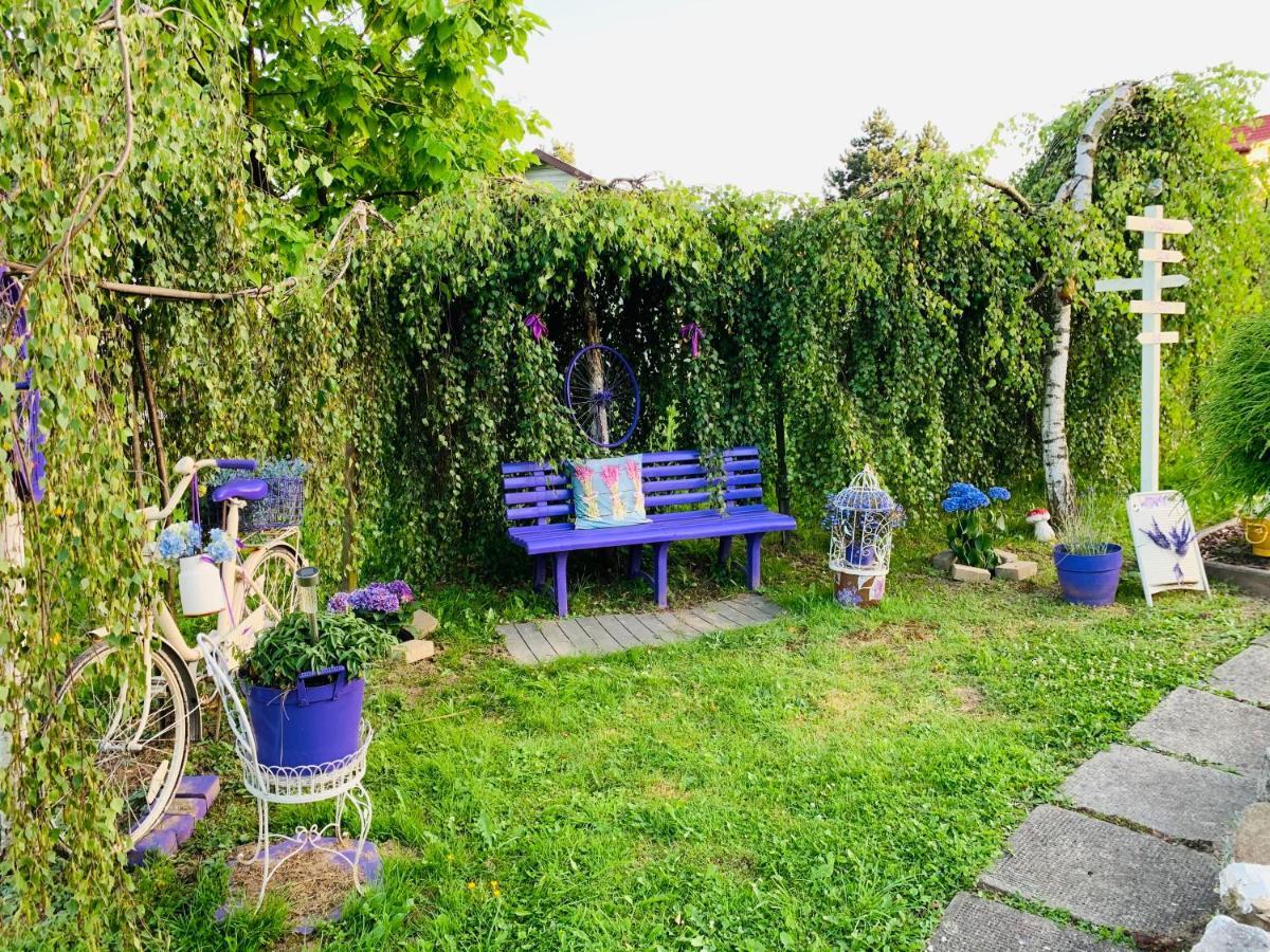 Apartament Rodzinny Z Ogrodem 치에신 외부 사진